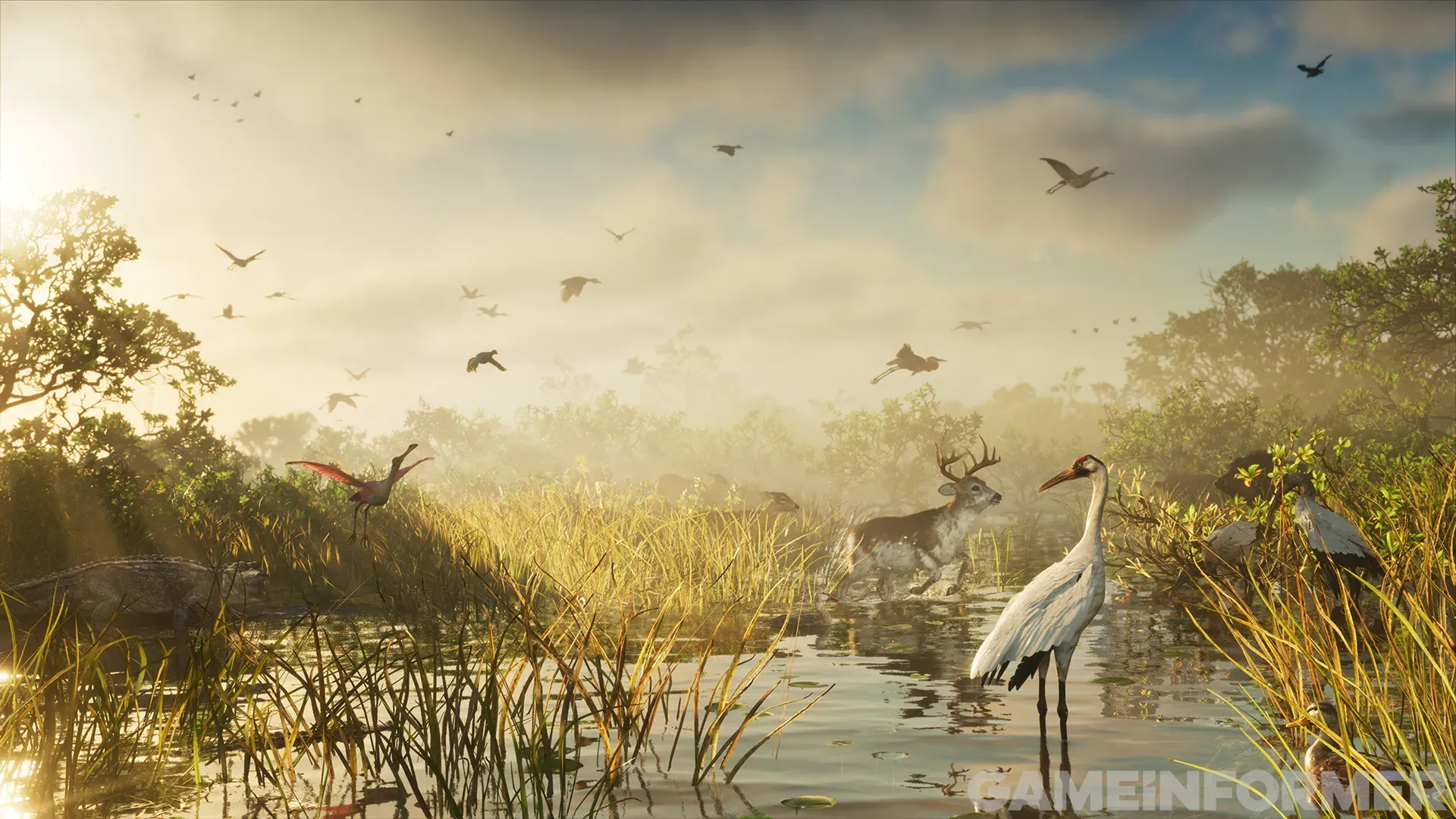 GTA6-Everglades.webp