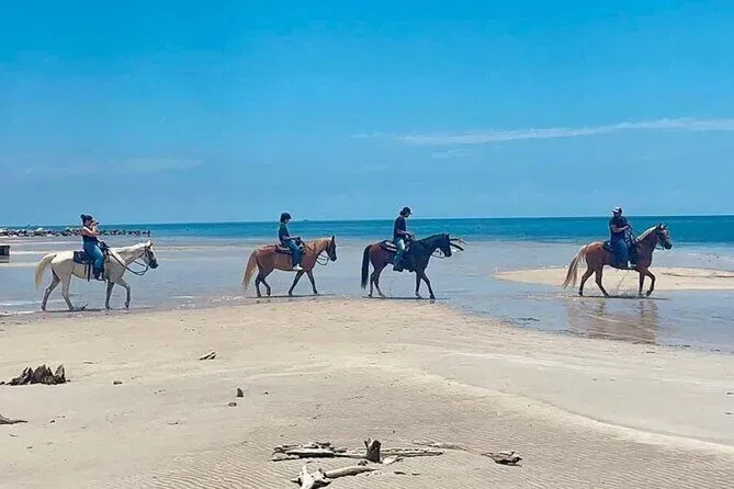 horse-riding-tour-at-the-beach-in-miami.webp